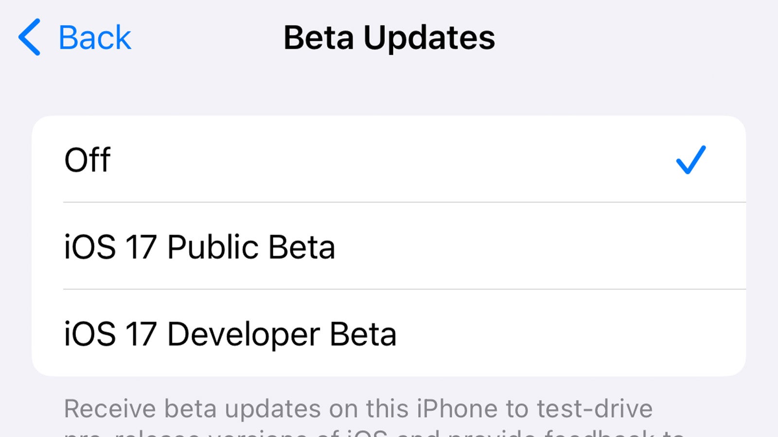 Beta Updates menu in iOS 17