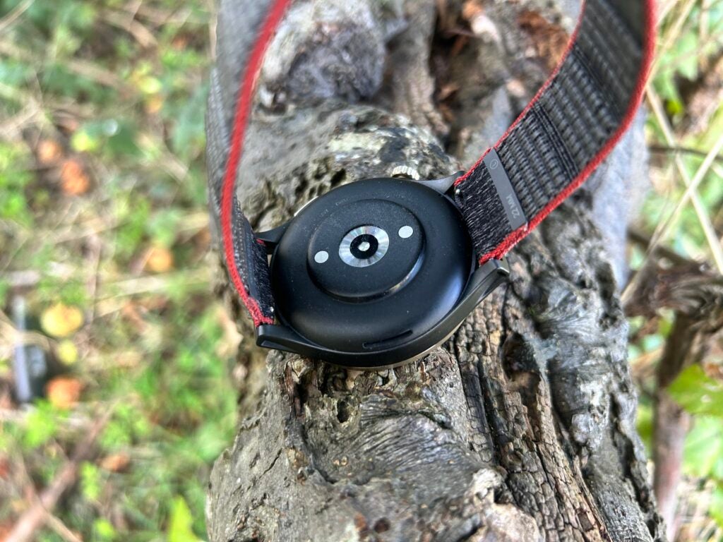 Amazfit Cheetah Pro rearAmazfit Cheetah Pro attached to a tree branch.