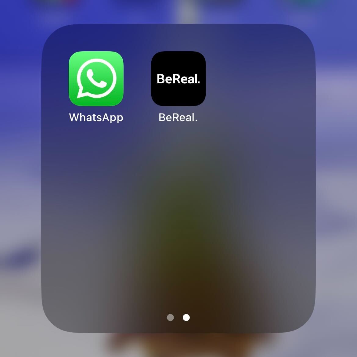 The Whatsapp app