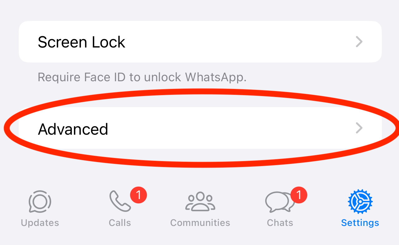 WhatsApp advanced privacy