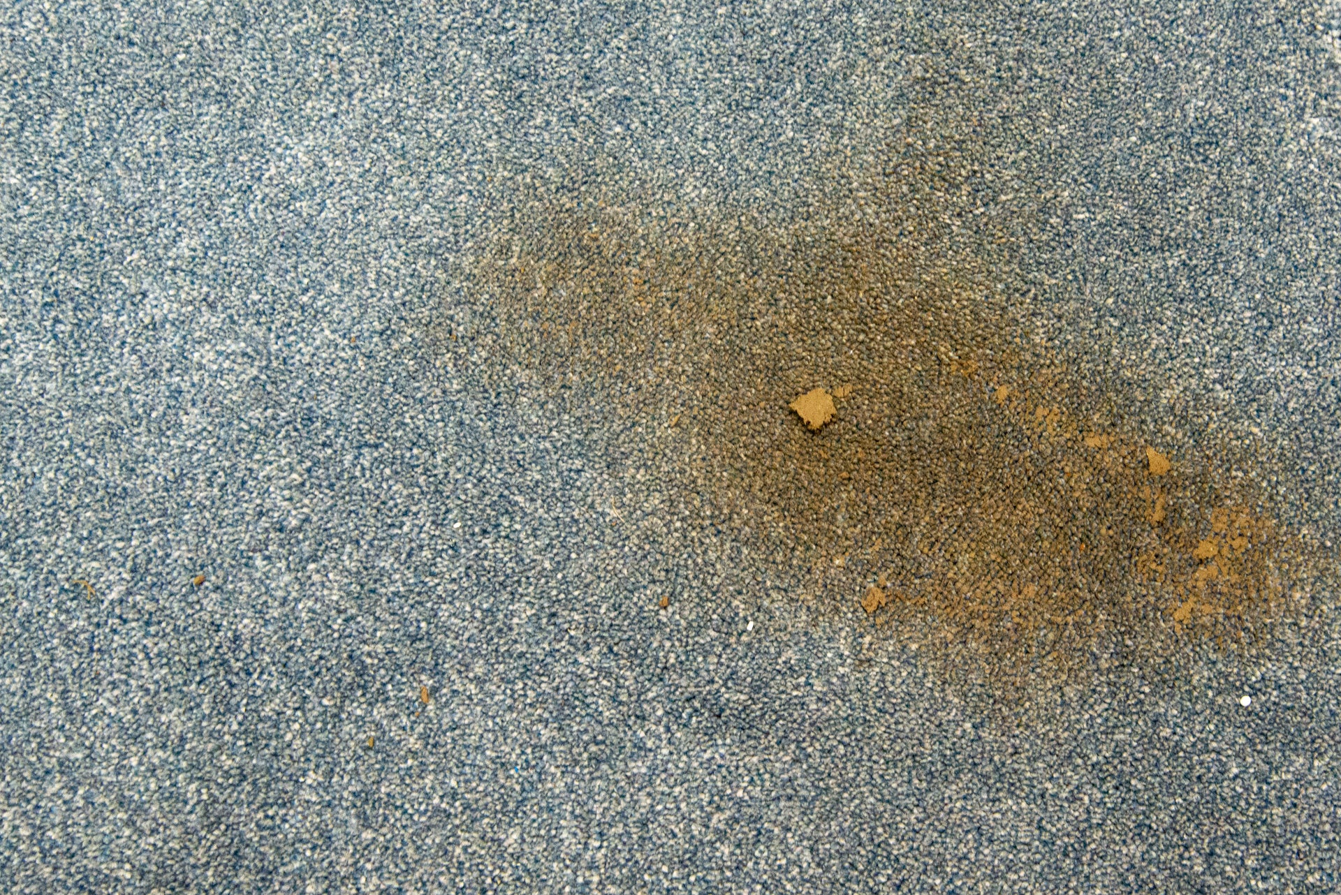 Vax SpotWash Home Cordless mud stain dirty