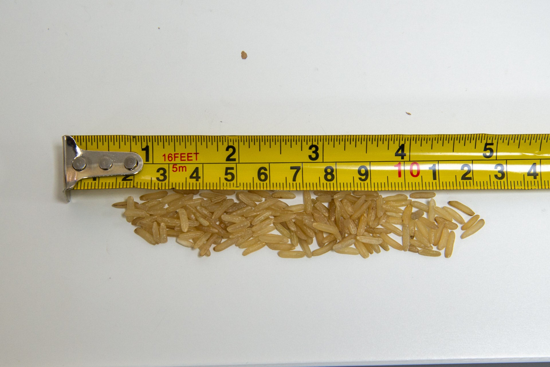 Ultenic U12 Vesla rice suction test end