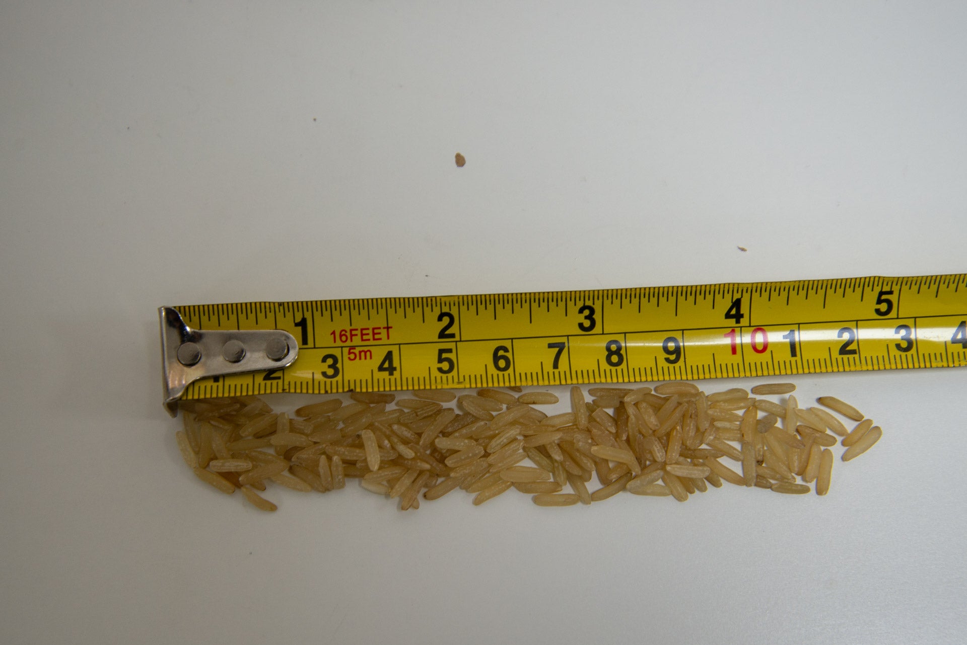 Ultenic U12 Vesla rice suction test start