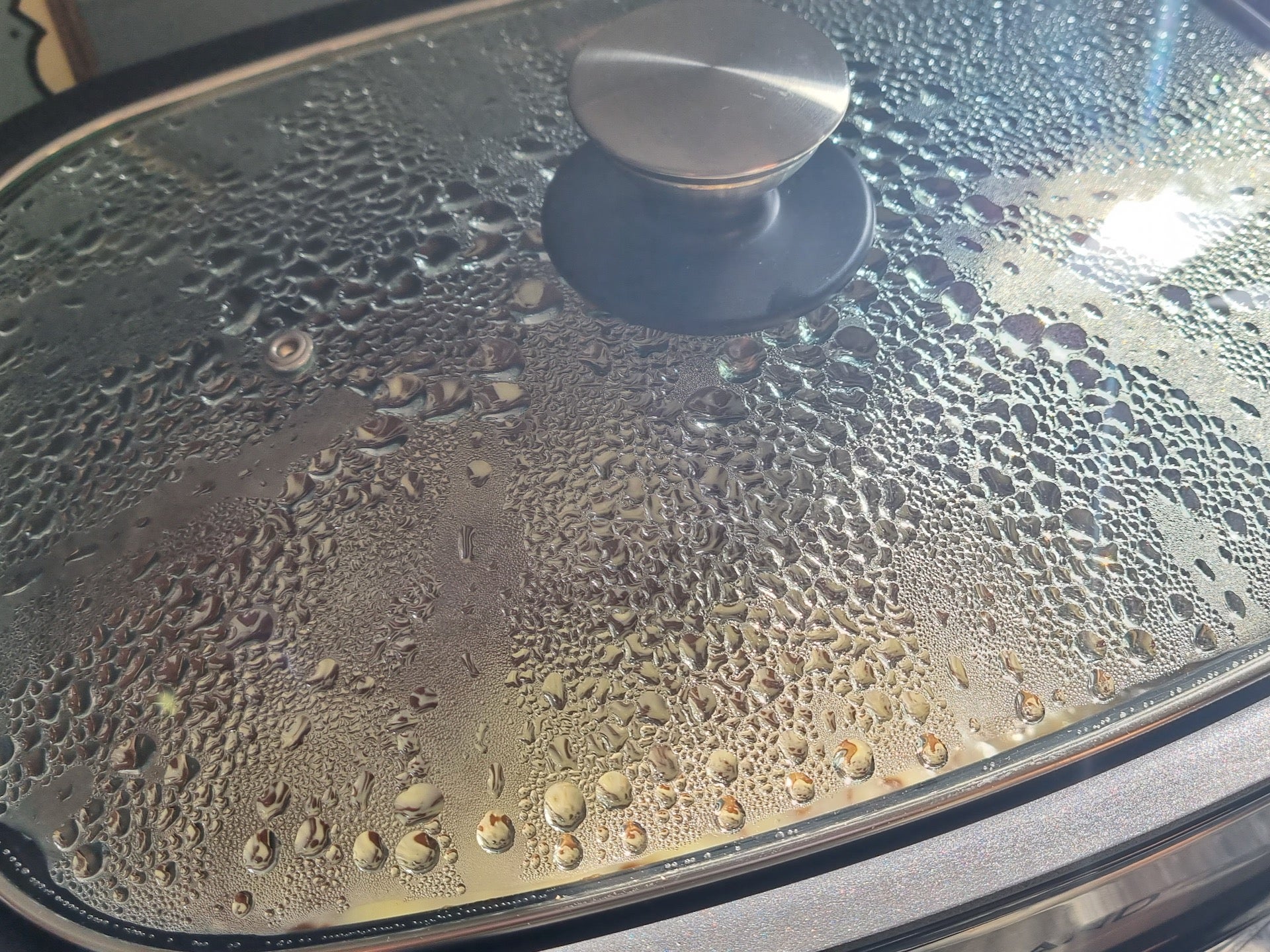 Lakeland 6.5L Searing Slow Cooker condensation